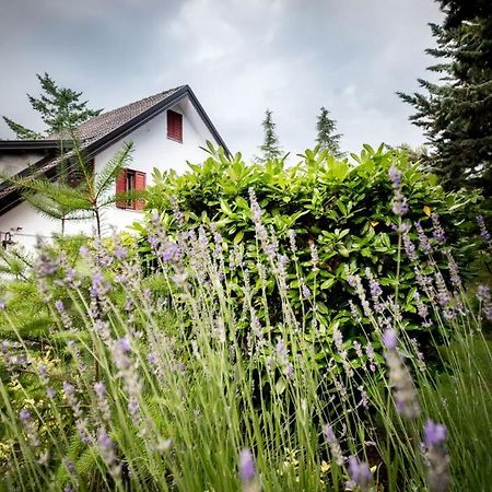 Apartamento Le Conifere Pignola Exterior foto