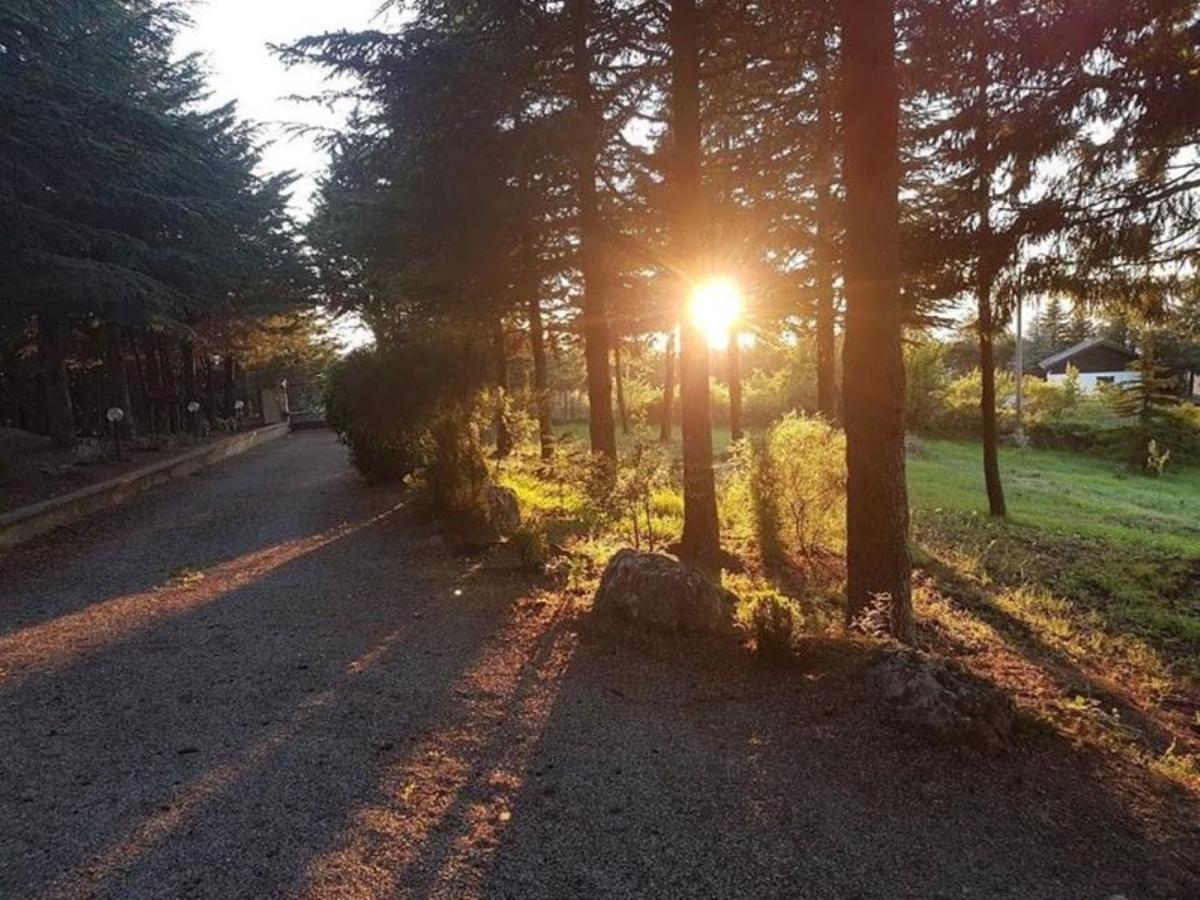 Apartamento Le Conifere Pignola Exterior foto
