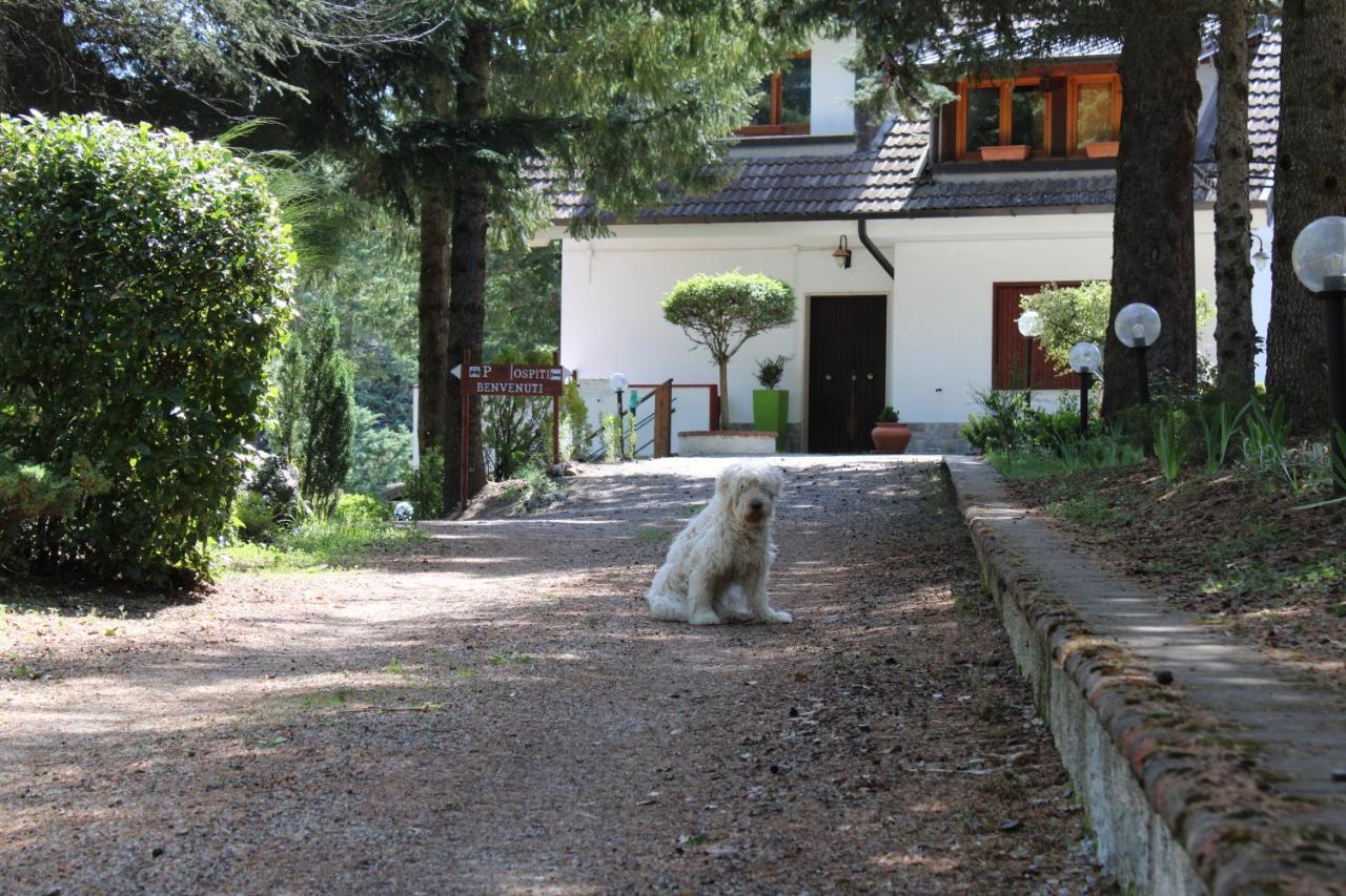 Apartamento Le Conifere Pignola Exterior foto