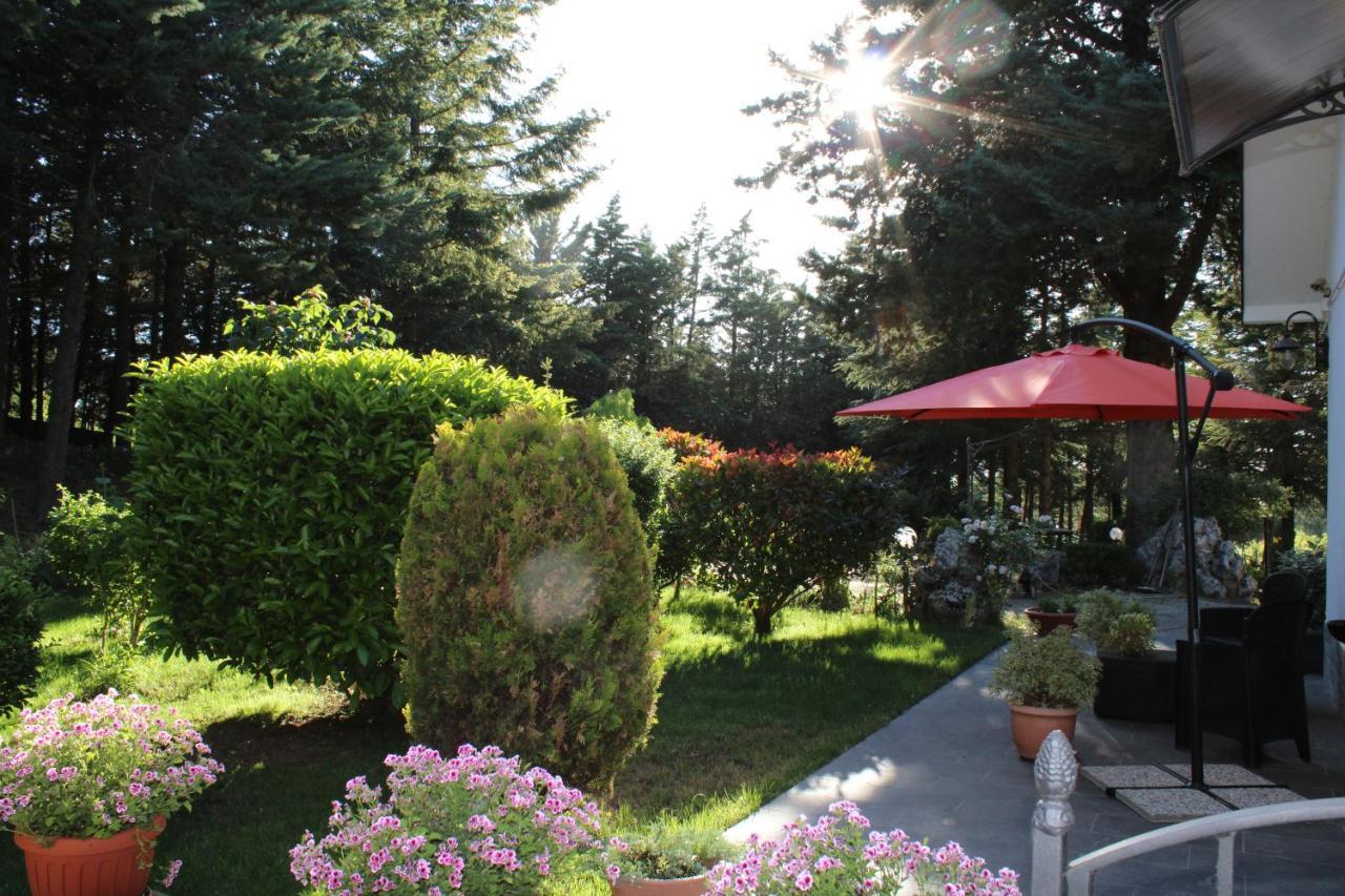 Apartamento Le Conifere Pignola Exterior foto