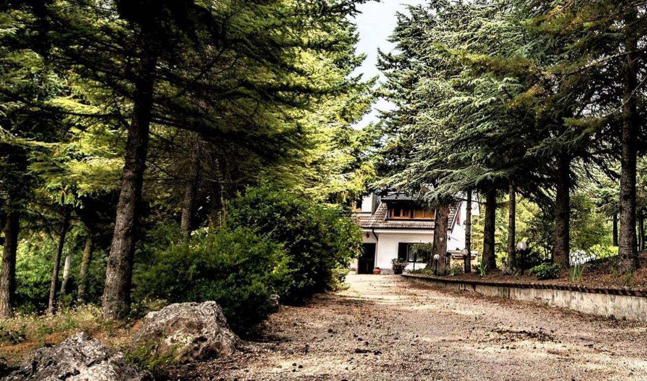 Apartamento Le Conifere Pignola Exterior foto